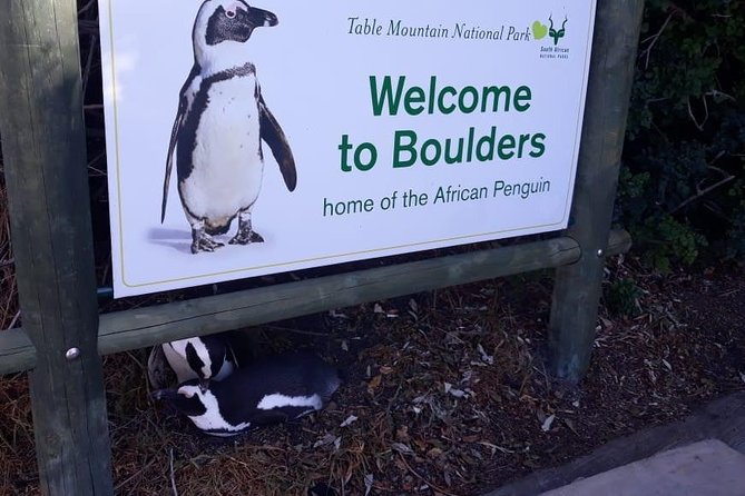 Cape of Good Hope and Penguins - Small Group - Full day - Boulders Beach Penguins: The Closest Photo-Op of the Day