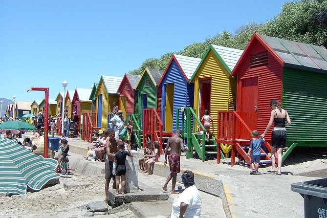 Cape Of Good Hope and Penguins viewing Private Tour - Chapmans Peak Drive: A Scenic Road You Actually Get Time To Enjoy