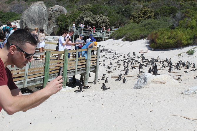 Cape Of Good Hope Bo-Kaap Penguins Full Day tour From Cape Town - Pickup, vehicle comfort, and the reality of an 8 to 9 hour day