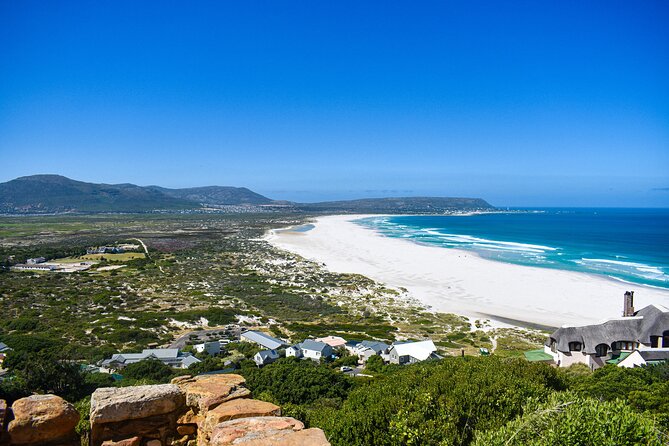 Cape of Good Hope & Boulder Penguins Full-Day Tour from Cape Town - Boulders Beach Penguin Colony: Why This Stop Is More Than a Photo