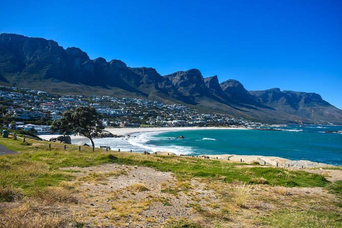 Cape of Good Hope & Boulder Penguins Full-Day Tour from Cape Town - Hout Bay Plus Duiker Island: Seals, Markets, and How to Handle Time