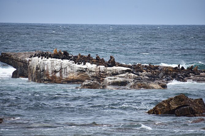 Cape of Good Hope & Boulders Beach Private Tour (Including Lunch) - Starting in Bo-Kaap: color first, then context