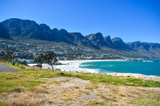 Cape of Good Hope & Boulders Beach Private Tour (Including Lunch) - Bantry Bay and Clifton: wind-sheltered views and expensive streets