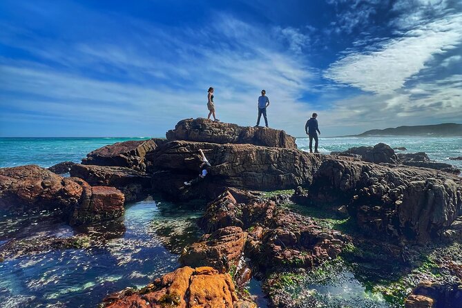 Cape of Good Hope Cape Point for groups - Your guide in the driver’s seat: what the commentary changes