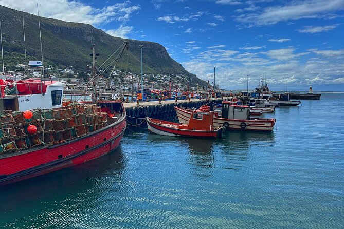 Cape of Good Hope Cape Point for groups - Price and logistics reality check: what $69.24 does and does not cover