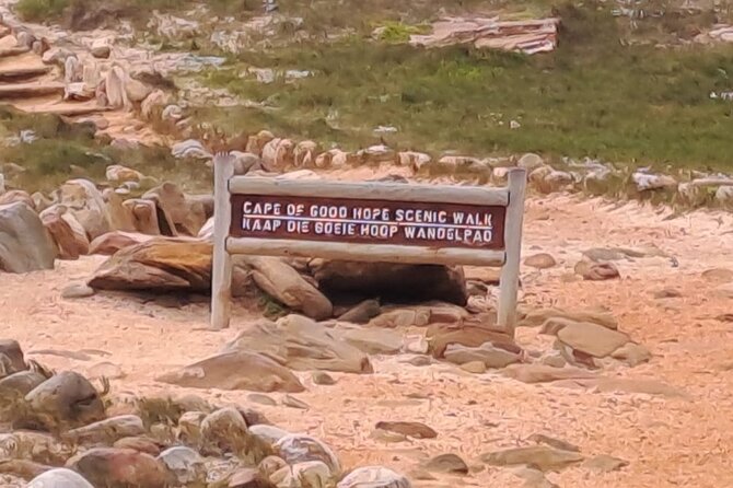 Cape of Good Hope-Cape Point & Penguins from Cape Town - The Cape Peninsula in one focused day, minus the chaos