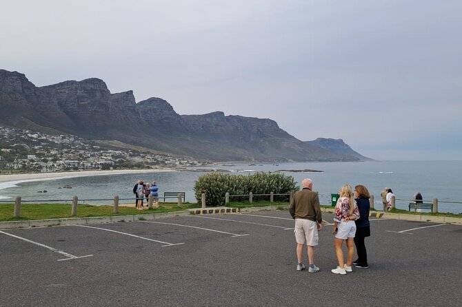 Cape of Good Hope-Cape Point & Penguins from Cape Town - Cape of Good Hope: 1,500-plus species, monuments, and that iconic name board