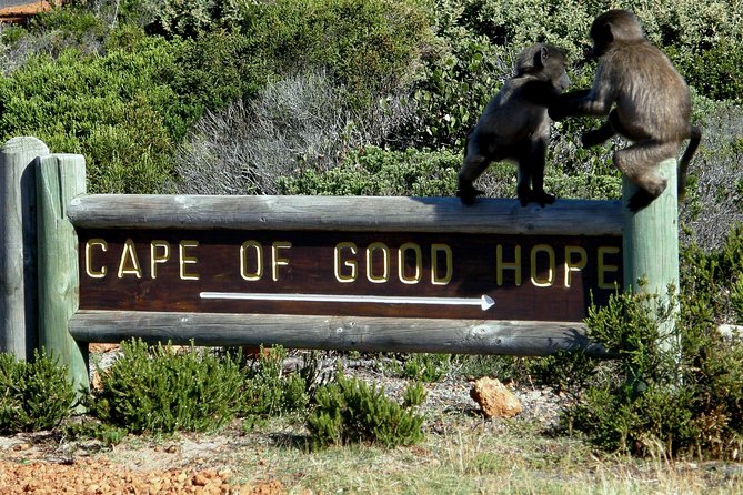 Cape of Good Hope, Cape Point & Penguins Private customizable Full Day Tour - Simon’s Town, Kalk Bay, Muizenberg, and the Coast-Drive Bonus Stops