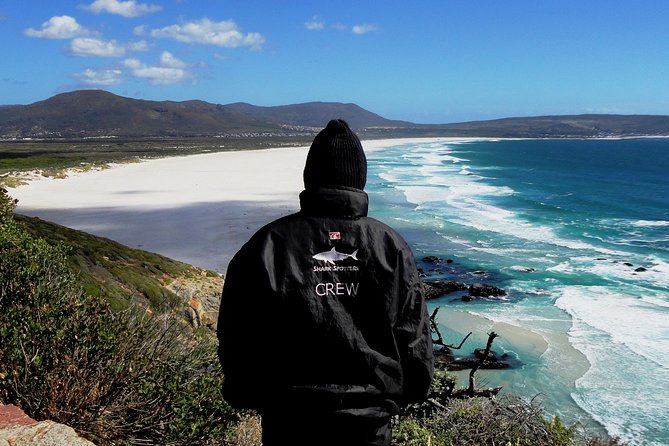 Cape of Good hope, Cape Point & Penguins, Private Morning Tour - Pickup at the V&A Waterfront, Then You’re Just Riding