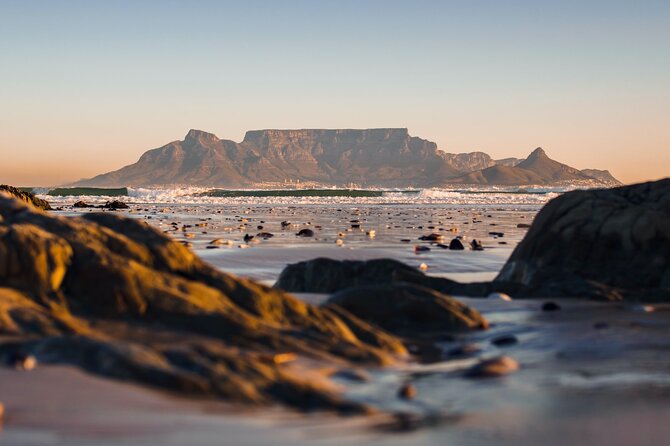 Cape of Good Hope-Cape Point - Penguins Private Tour Cape Town - Boulders Beach Penguin Colony: African penguins with a backdrop that does the work