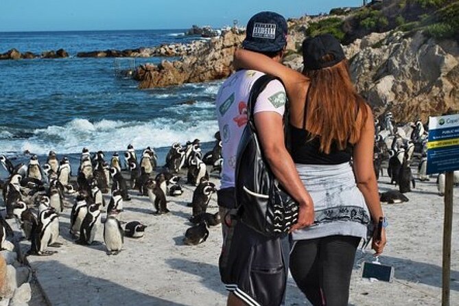 Cape of Good Hope-Cape Point - Penguins Private Tour Cape Town - Price and value: what $51.95 gets you, and what you still pay for