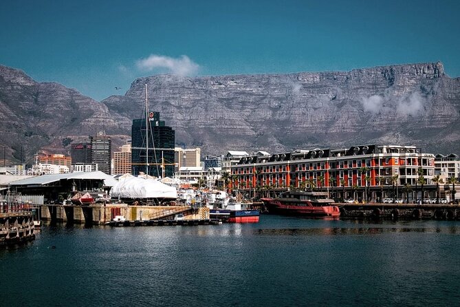 Cape of Good Hope-Cape Point - Penguins Private Tour Cape Town - Cape Point Nature Reserve: cliffs, fynbos, bays, beaches, and sea-carved caves