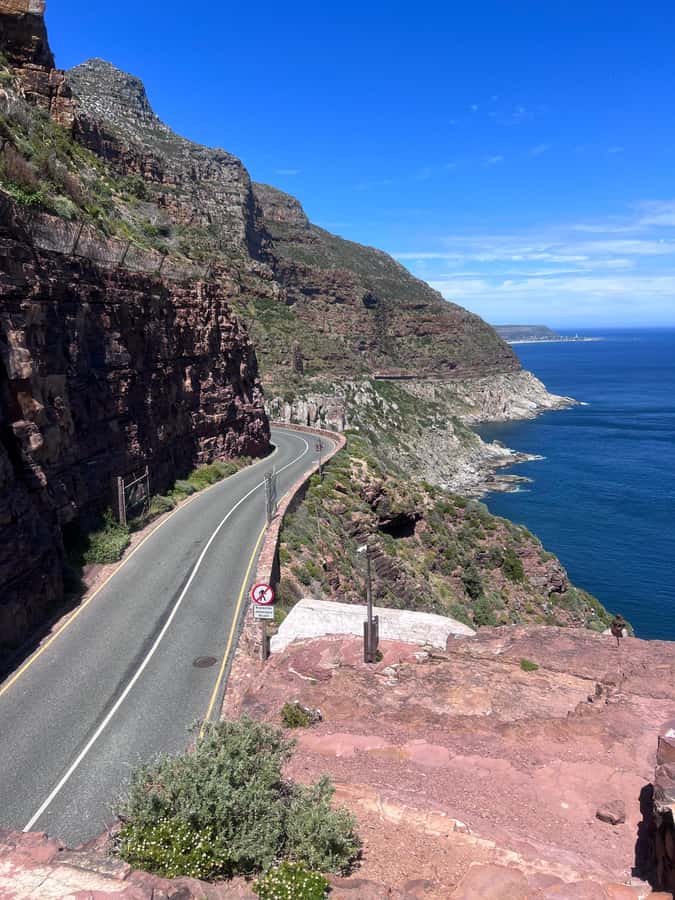 Cape of Good Hope, Chapman's Peak Drive, Penguins , Seals - Bo-Kaap: photos first, then context