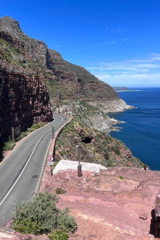 Cape of Good Hope, Chapman's Peak Drive, Penguins , Seals - Cape Point and Cape of Good Hope: the rugged part of the day
