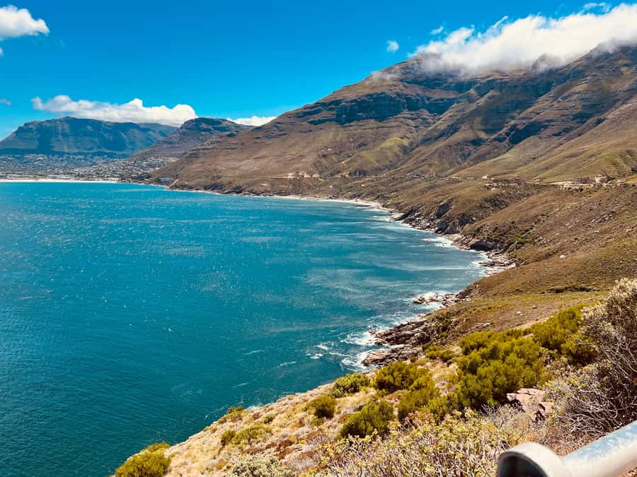Cape of Good Hope, Chapman's Peak Drive, Penguins , Seals - New and Old Cape Point Lighthouse: short walk, big reward