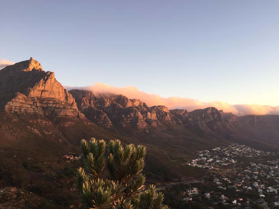 Cape of Good Hope Full-Day Private Tour - Chapman’s Peak viewpoint drive for quick, high-impact photos