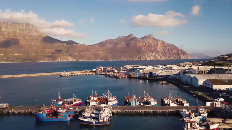 Cape of Good Hope Full-Day Private Tour - Hout Bay boat cruise and the Seal Island option