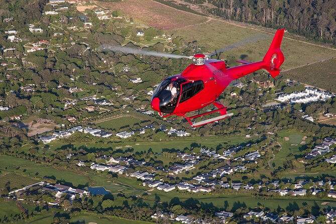 Cape of Good Hope Helicopter Private Tour with Stellenbosch Wine Tasting & Lunch - What the Private Format Changes for Your Day