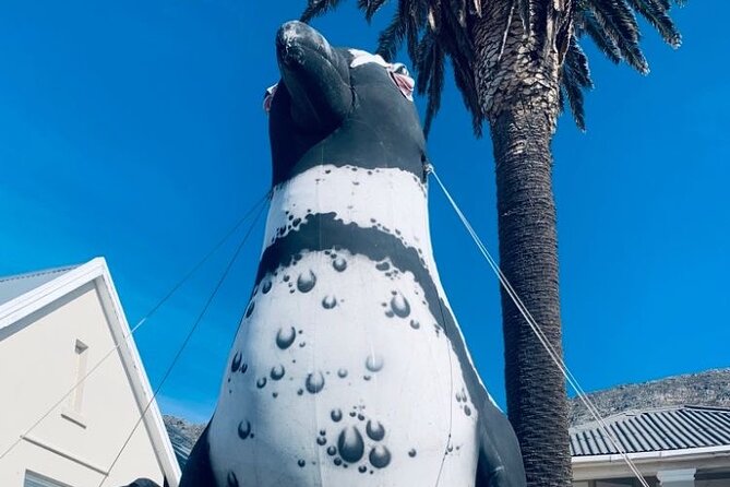 Cape of Good hope,penguin Beach, Table Mountain, Campsbay - Who This Tour Fits Best (and Who Might Want Another Option)