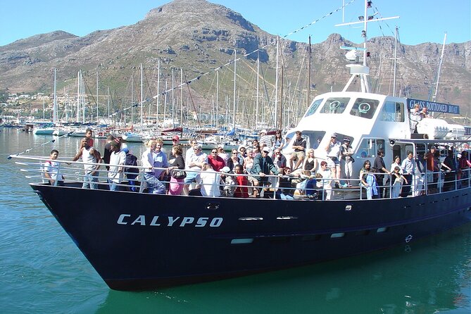 Cape of Good Hope & Penguins from Cape Town Full-Day Private Tour - Hout Bay to Seal Island: optional ferry, real animal energy