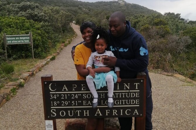 Cape of Good Hope & Penguins from Cape Town Full-Day Private Tour - Chapmans Peak Drive: the engineering viewpoint you actually stop for