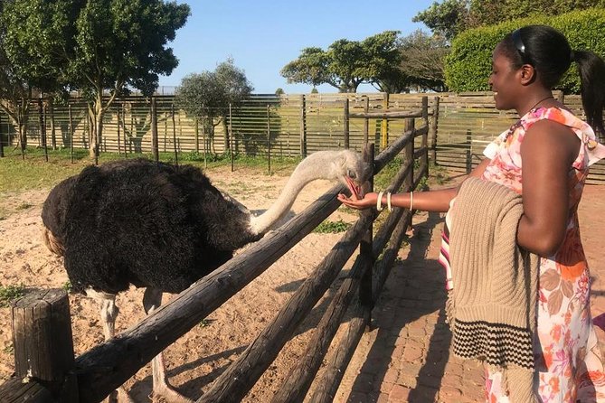 Cape of Good Hope & Penguins Full Day Tour From (The Mother City) Cape Town. - Who This Tour Fits Best, and Who Might Prefer Another Plan