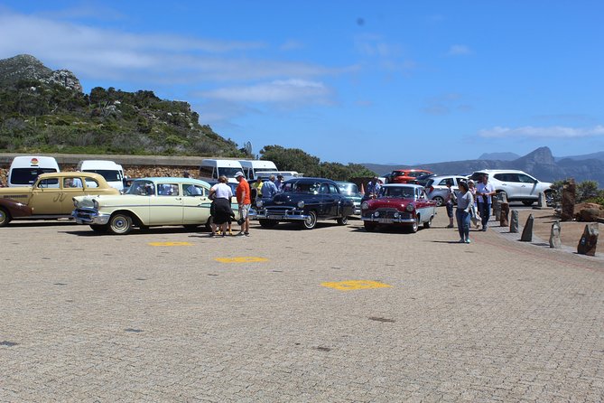 Cape Of Good Hope, Penguins Private Tour from Cape Town full day - Hout Bay: seals on Seal Island optional, plus harbor snacks