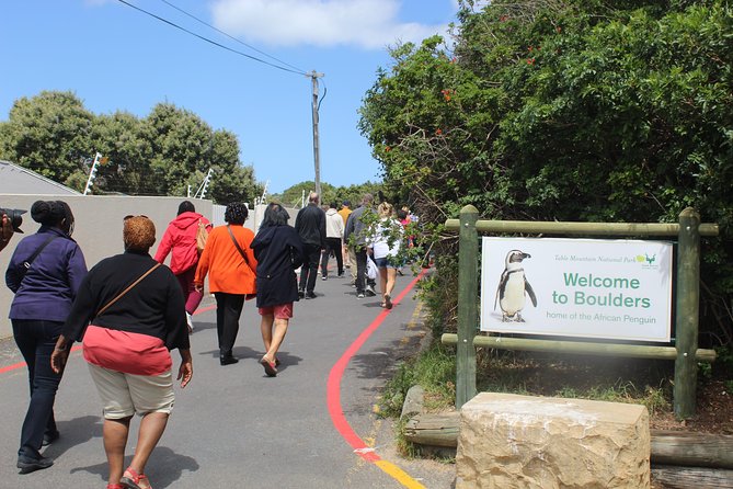 Cape Of Good Hope, Penguins Private Tour from Cape Town full day - The misty seaside stretches, kite surfing, and the fynbos-side villages