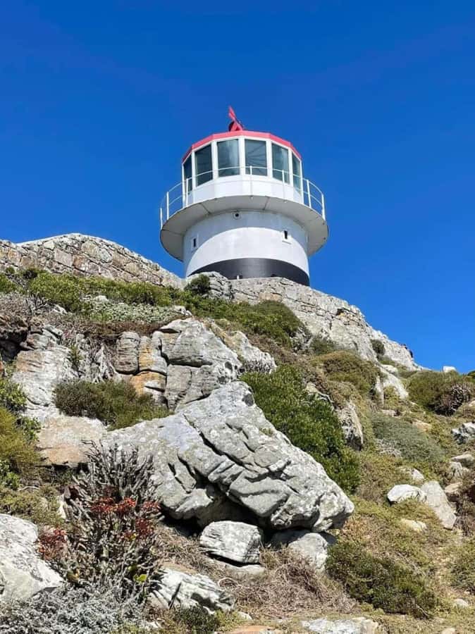 Cape of Good Hope & Penguins Shared Tour - Timing, Comfort, and Small Tips That Matter