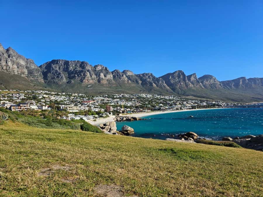 Cape of Good Hope & Penguins Shared Tour - Who This Tour Fits Best (And Who Might Want a Different Option)