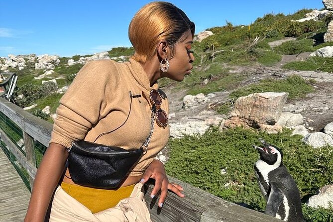 Cape of Good Hope & Penguins Small Group Tour from Cape Town - Boulders Beach Penguins: What Close Viewing Really Means