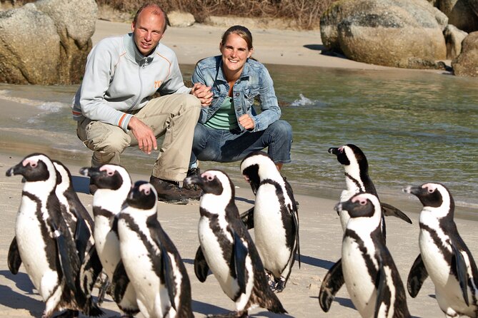 Cape of Good Hope & Penguins Small Group Tour from Cape Town - Atlantic Seaboard stops, where Camps Bay turns into real views