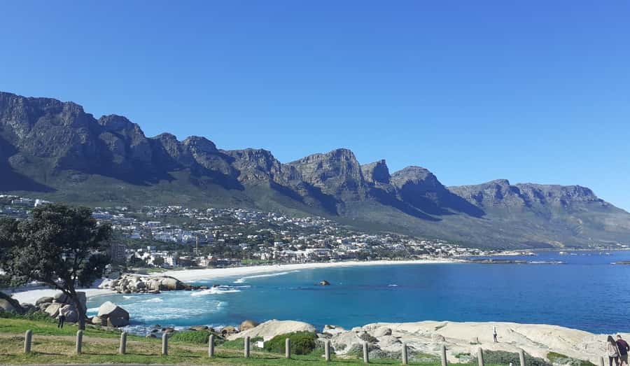 Cape of Good Hope: Sightseeing and African Penguins Tour - Price and Logistics: what $44 buys you