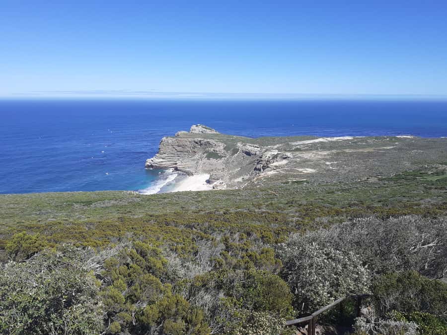 Cape of Good Hope: Sightseeing and African Penguins Tour - Hout Bay and the Seal Island stop: seals, snacks, and options