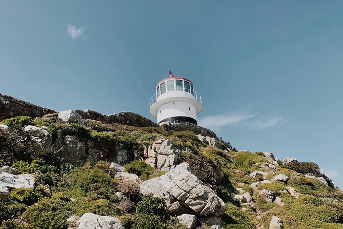 Cape of Good Hope, Table Mountain & Penguins Private Tour from Cape Town - Cape of Good Hope and Cape Point: the lighthouse choice matters