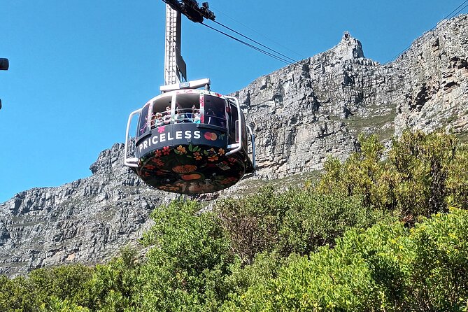 Cape of Good Hope, Table Mountain & Penguins Tour + All Tickets - Table Mountain: the 3-minute cable car and the 360-degree payoff