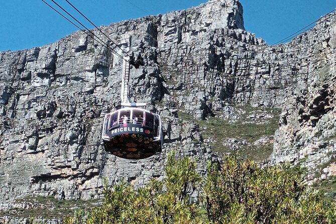 Cape of Good Hope, Table Mountain & Penguins Tour + All Tickets - Chapman’s Peak Drive and Blue Flag Long Beach