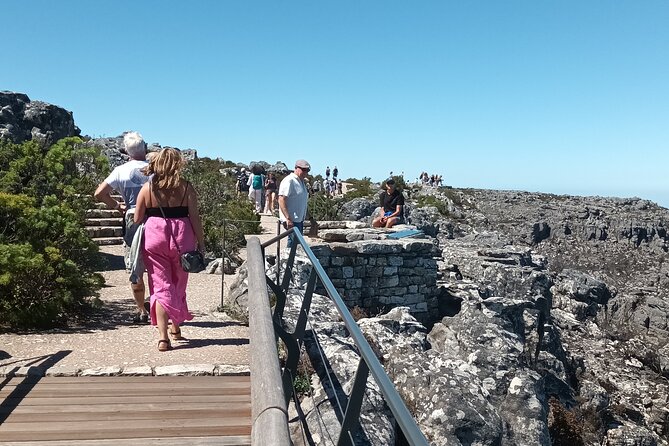 Cape of Good Hope, Table Mountain & Penguins Tour + All Tickets - Cape Point Vineyards: a quick wine stop with big views