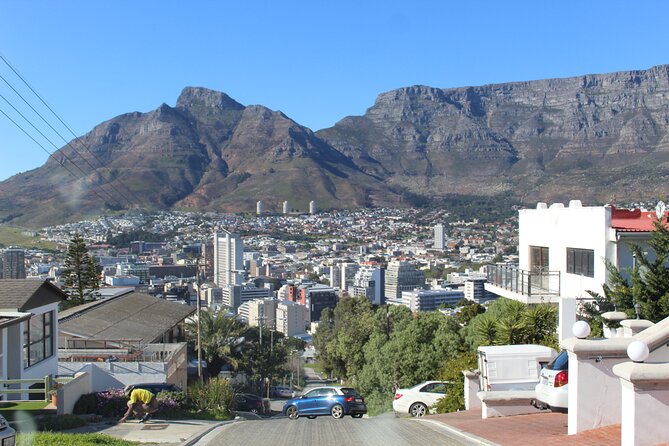 Cape of Good Hope, Table Mountain & Penguins Tour + All Tickets - Cape of Good Hope: seaweed choppy seas, seals, and baboons