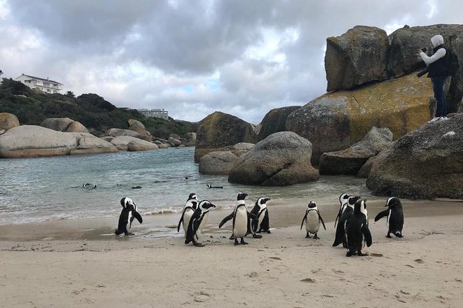 Cape Peninsula Adventure - Chapmans Peak Drive: Scenic Views, a Short Stop, and Photo Timing