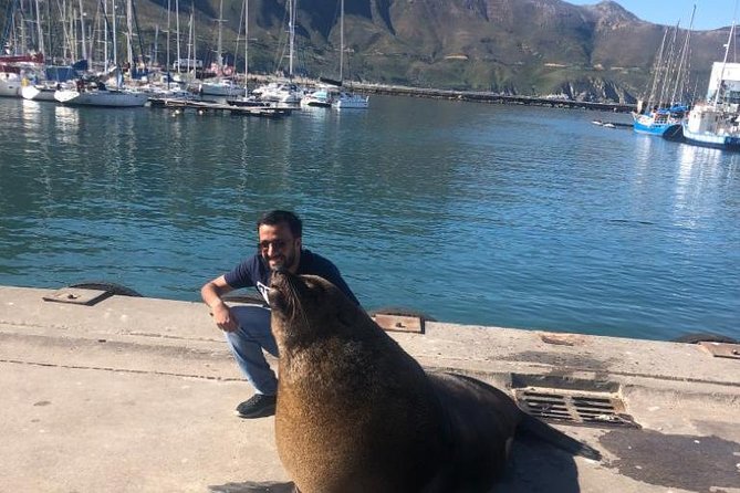 Cape Peninsula Adventure - Cape of Good Hope: An Off-the-Track Walk With Fauna and Flora