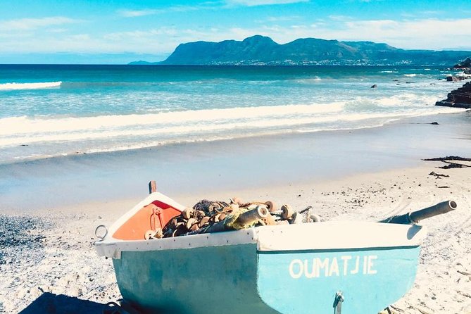 Cape Peninsula Adventure - Boulders Beach Penguins and Simons Town: Wildlife Plus a Little Old-World Atmosphere