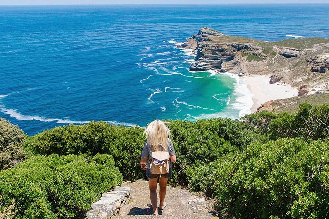 Cape Peninsula and Boulders Full Day Tour with Private Transfer - Cape of Good Hope Wildlife Time: Fynbos, Baboons, and Open-Air Hours