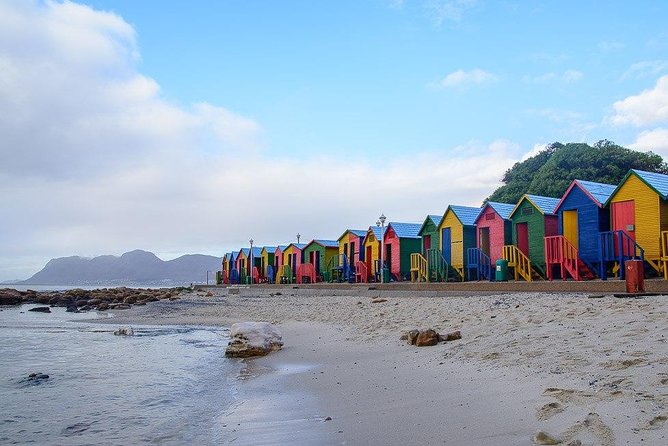 Cape Peninsula and Boulders Full Day Tour with Private Transfer - Price and Value: What You Get for $268.41 per Person