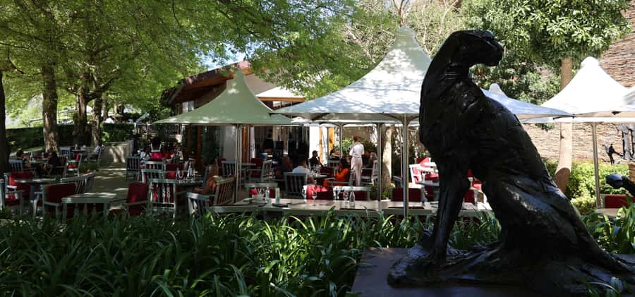 Cape Peninsula and Winelands Private Full-Day Combo Tour - Boys Drive to Constantia: From Cliffs to Wine Country