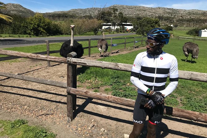 Cape Peninsula Cycle Tour - Price and value: what $149.43 per person really covers
