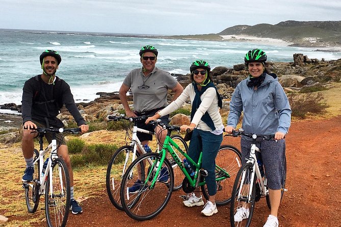 Cape Peninsula E-bike Cycle with Vehicle - Private Tour - Noordhoek break, then Cape Point time in a World Heritage setting