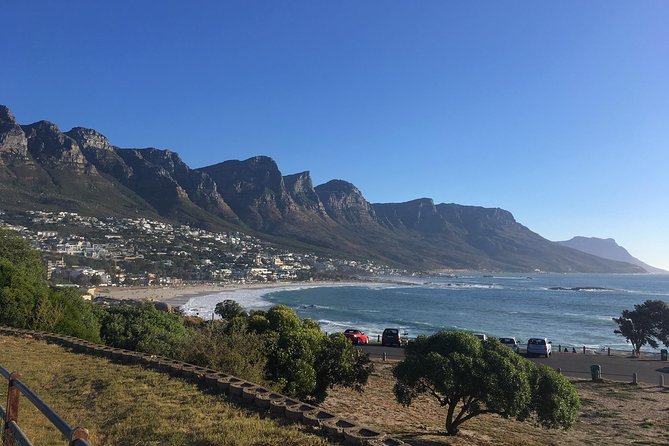 Cape Peninsula E-bike Cycle with Vehicle - Private Tour - Simon’s Town lunch views, then Boulders Beach penguins