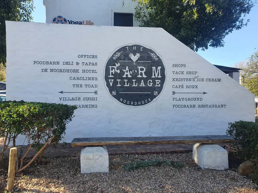 Cape Peninsula Full Day Tour In Private Car - Cape Peninsula by private car: what 9 hours really feels like