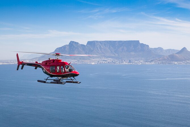 Cape Peninsula Helicopter Private Tour with Stellenbosch Wine Tasting & Lunch - Key Things to Know Before You Go